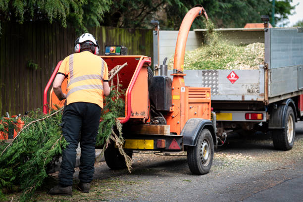 Best Artificial Turf Installation  in New Plymouth, ID